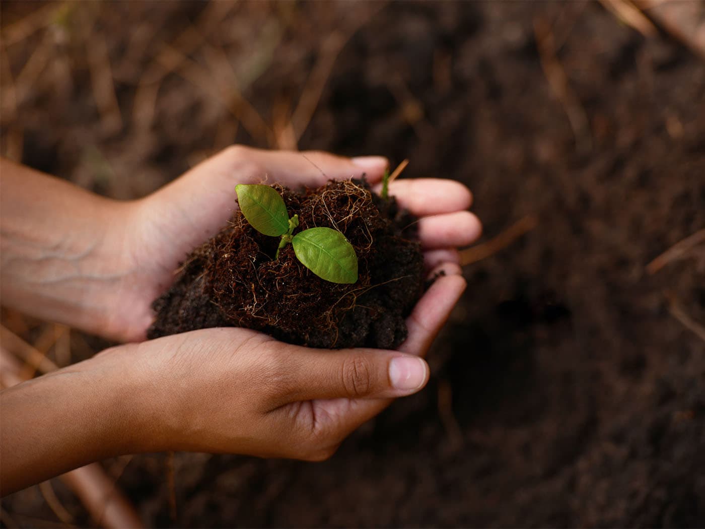 Pojištění pro zemědělce