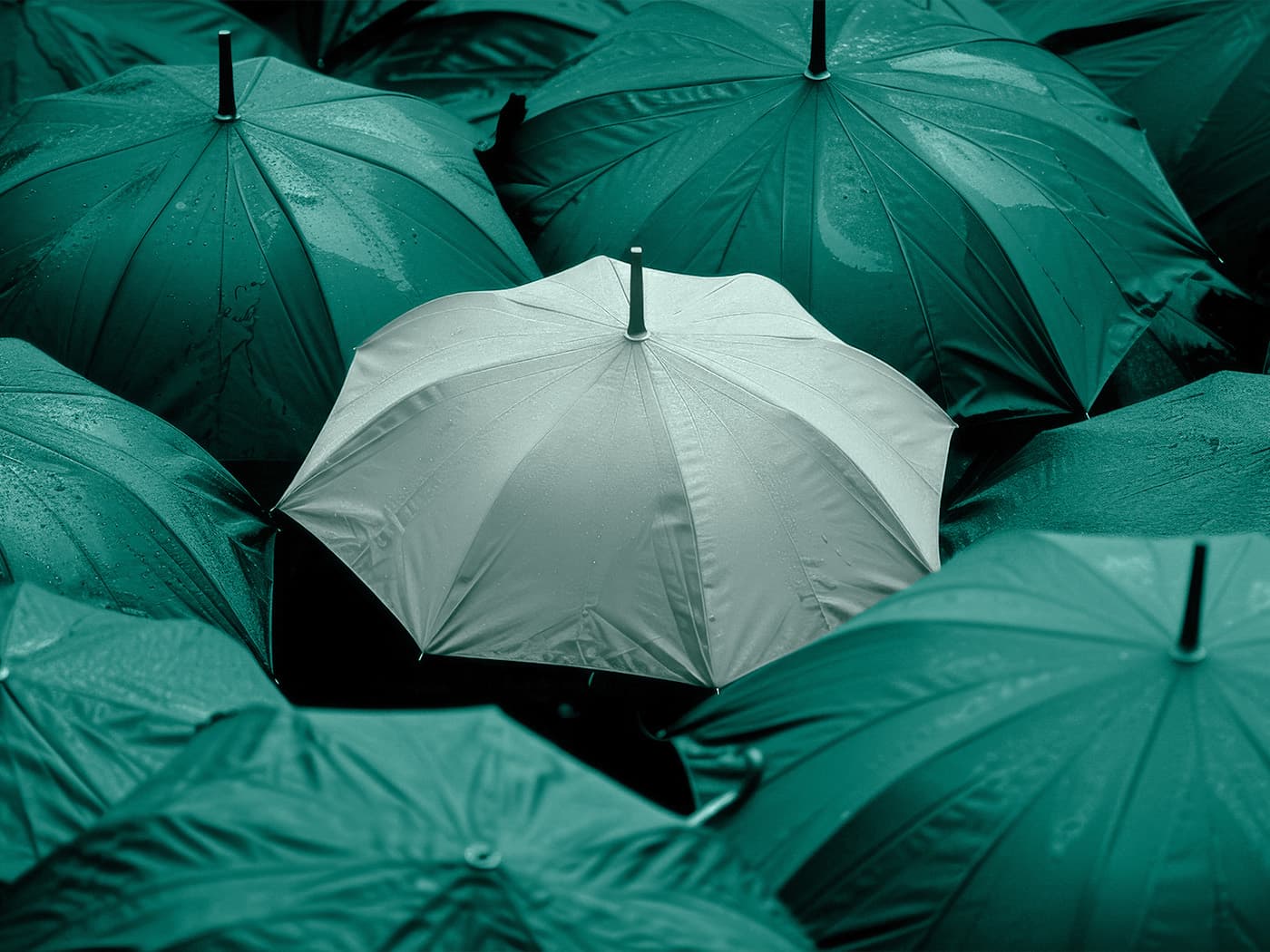 Warranty & Indemnity (W&I)